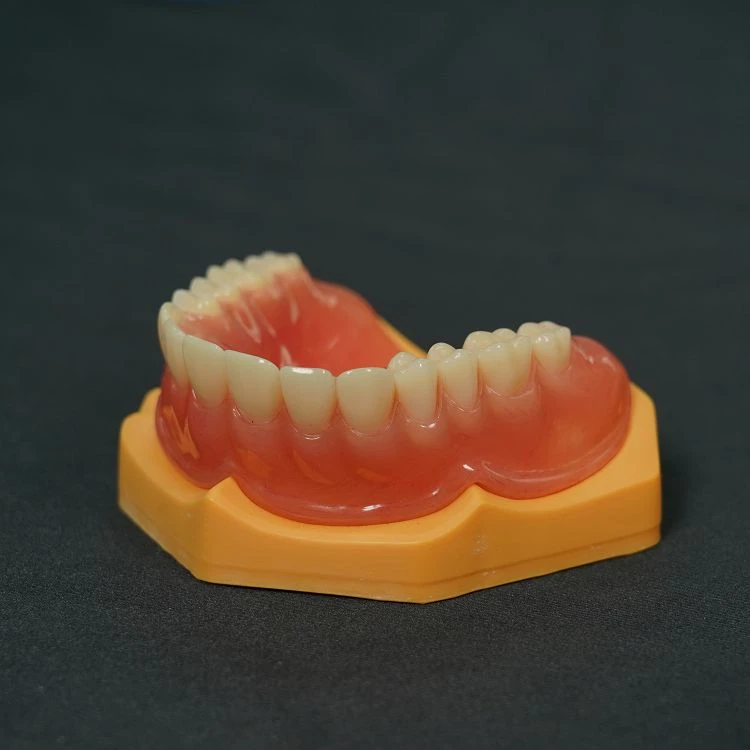 Full Mouth Plastic Bracket
